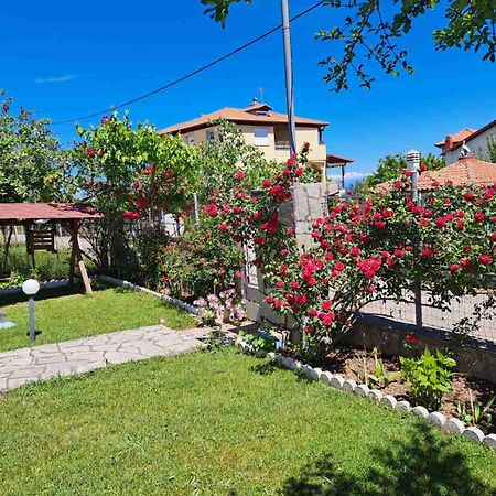 לפטוקריה Villa Jenny מראה חיצוני תמונה