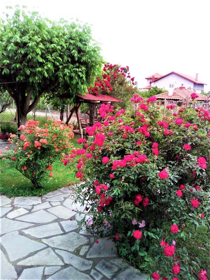 לפטוקריה Villa Jenny מראה חיצוני תמונה