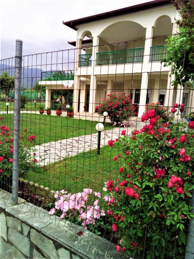 לפטוקריה Villa Jenny מראה חיצוני תמונה