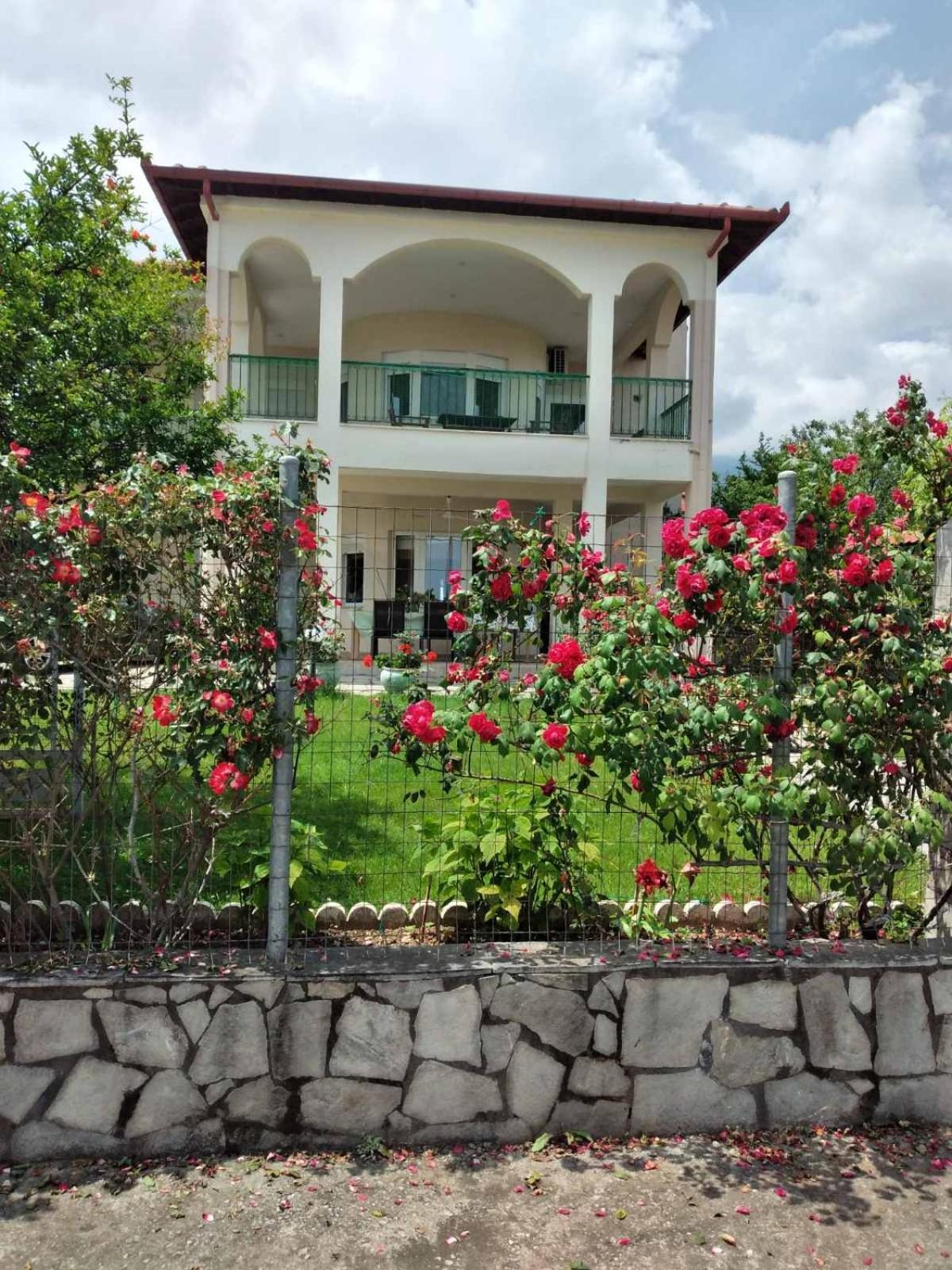 לפטוקריה Villa Jenny מראה חיצוני תמונה