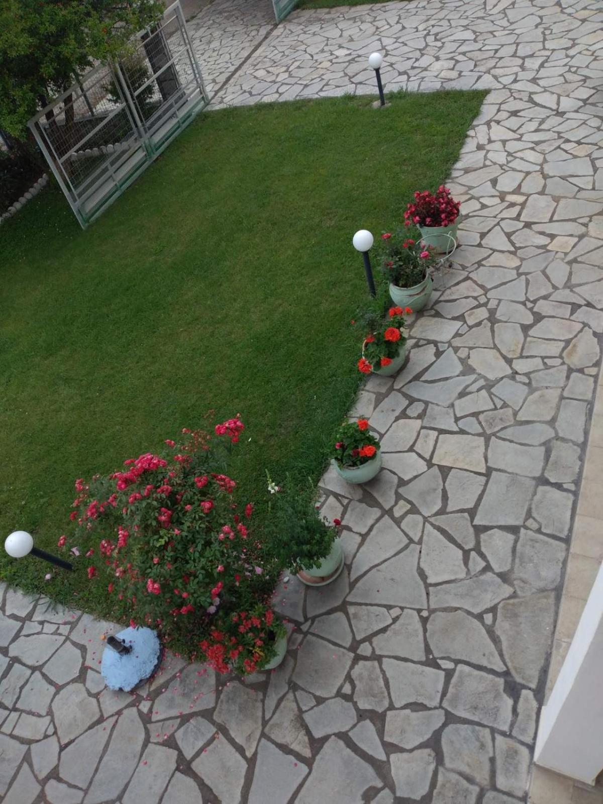 לפטוקריה Villa Jenny מראה חיצוני תמונה