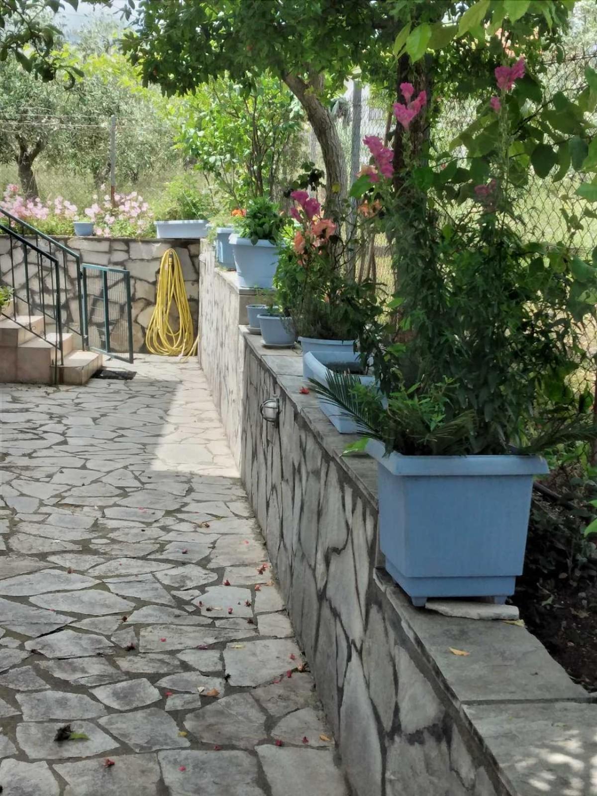 לפטוקריה Villa Jenny מראה חיצוני תמונה